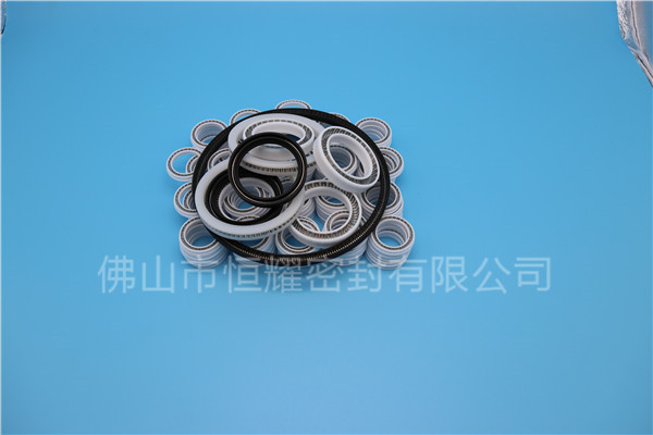 HOB、HVB孔用泛塞封 (6)