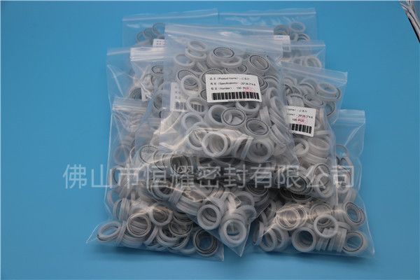 HOB、HVB孔用泛塞封 (17)