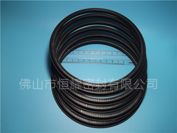 HOD、HVD旋轉(zhuǎn)泛塞封 (12)