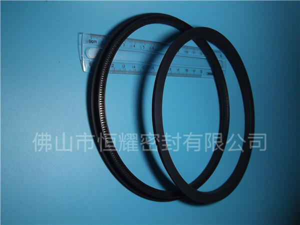 HOD、HVD旋轉(zhuǎn)泛塞封 (15)