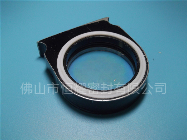 HVF、HVG端面內(nèi)、外向泛塞封 (2)