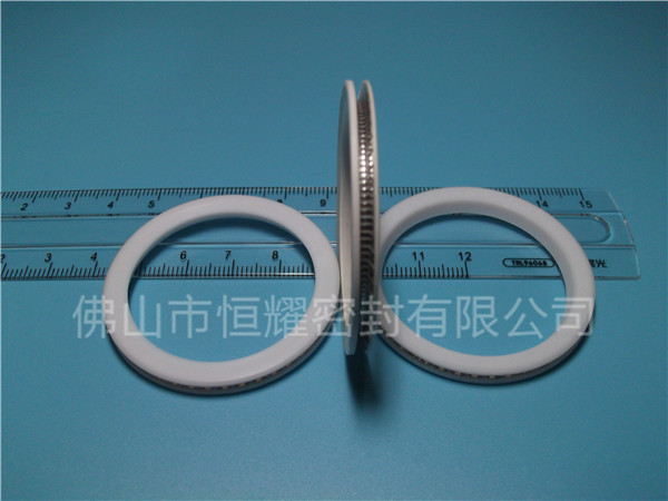 HVF、HVG端面內(nèi)、外向泛塞封 (10)