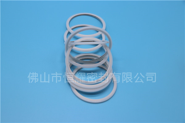 HVF、HVG端面內、外向泛塞封 (15)