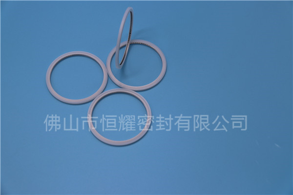 HVF、HVG端面內(nèi)、外向泛塞封 (20)