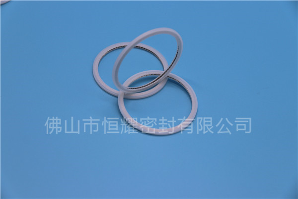 HVF、HVG端面內(nèi)、外向泛塞封 (21)