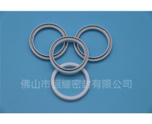 HOA、HVA軸用泛塞封 (13)