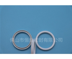 HOA、HVA軸用泛塞封 (16)