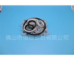 HOB、HVB孔用泛塞封 (7)