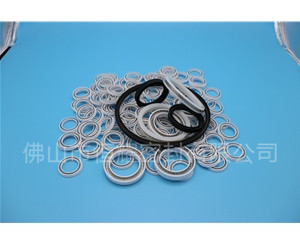 HOB、HVB孔用泛塞封 (8)