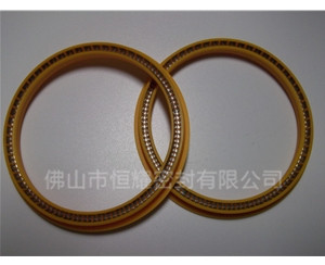 HOD、HVD旋轉(zhuǎn)泛塞封 (6)