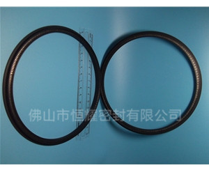 HOD、HVD旋轉(zhuǎn)泛塞封 (13)
