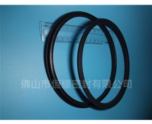 HOD、HVD旋轉(zhuǎn)泛塞封 (15)