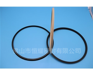 HOD、HVD旋轉(zhuǎn)泛塞封 (18)