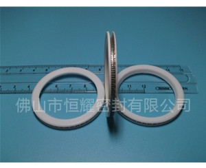 HVF、HVG端面內(nèi)、外向泛塞封 (10)