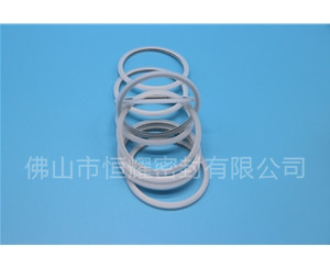 HVF、HVG端面內(nèi)、外向泛塞封 (15)