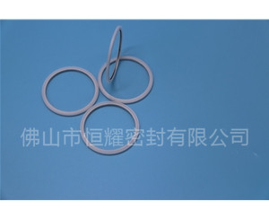HVF、HVG端面內(nèi)、外向泛塞封 (20)
