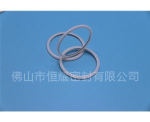 HVF、HVG端面內(nèi)、外向泛塞封 (21)